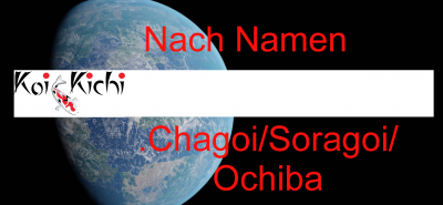 Chagoi/Soragoi/Ochiba